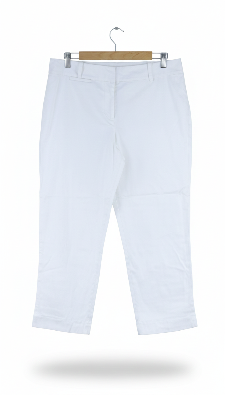 Ann Taylor Women Pants