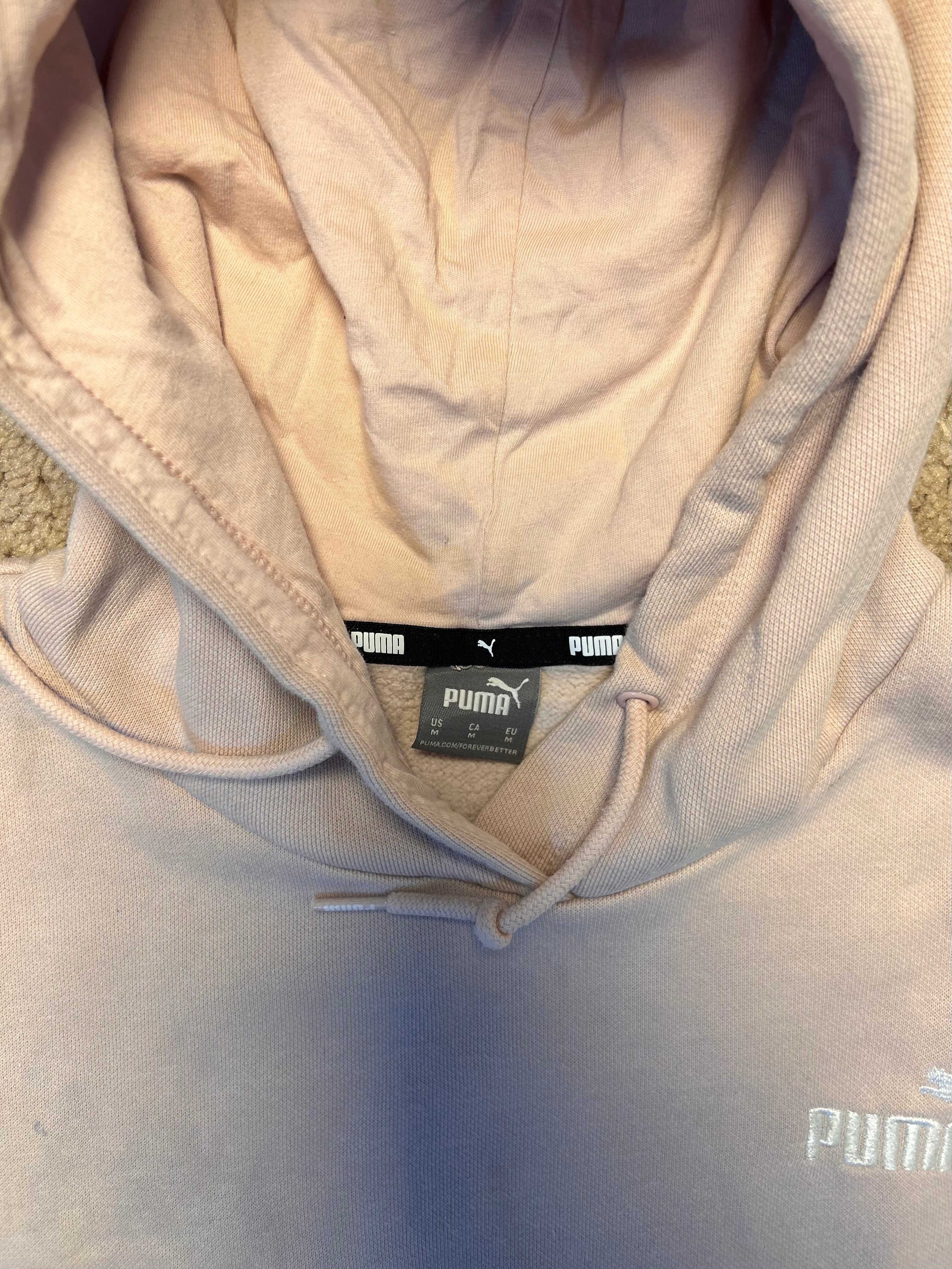 Puma