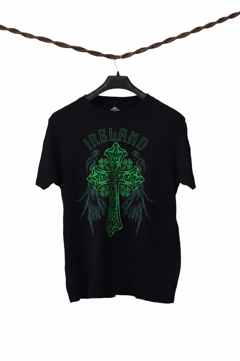 celebrate St Patrick's day T-Shirt