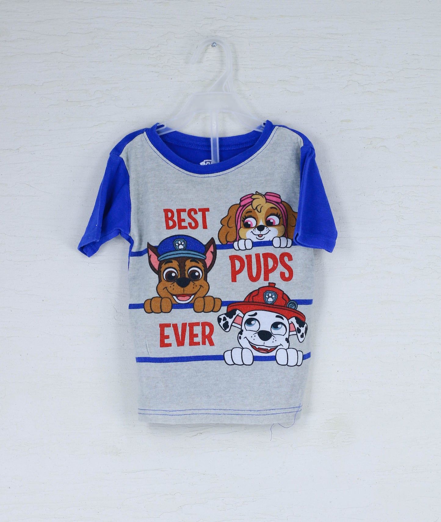 Paw patrol