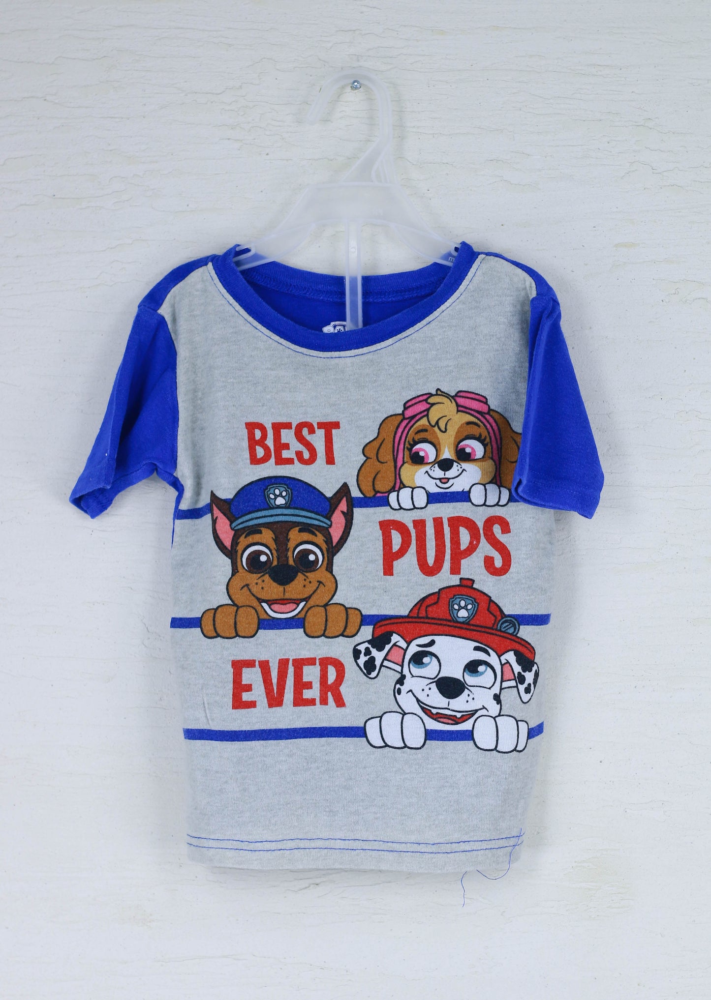 Paw patrol