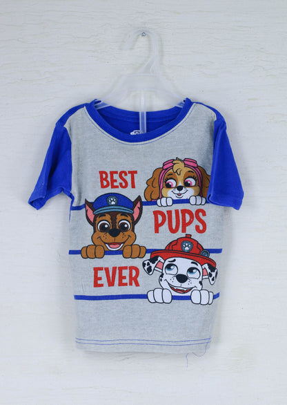 Paw patrol